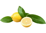 Ingredients-2